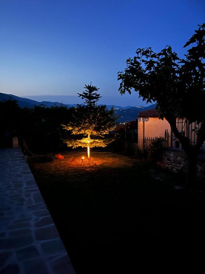 Mountain House * Gea